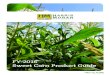 FY 2016 Sweet Corn Product Guide - HM.CLAUSE › wp-content › uploads › 2015 › 07 › FY... · 8 Sweet Corn Guide 9 Sweet Corn Guide Sweet Corn Variety Type Maturity (days)
