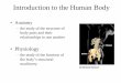 Introduction to the Human BodyIntroduction to the Human Body •Anatomy –the study of the structure of body parts and their relationships to one another •Physiology –the study