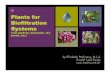 Plants for Biofiltration Systems - Austin, Texas · D[ 'NK\CDGVJ /E)TGGX[ / . # &TQRNGV .CPF &GUKIP YYY NCPFUVGYCTF PGV 2015 Plants for Biofiltration Systems (rain gardens, bioswales,