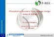 Phosphorus recovery from sewage sludge state of the art · 2020-02-05 · Phosphorus – bottleneck of life Limited availability Strategic resource „We may be able to substitute