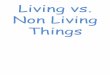 Living vs. Non Living Things - bca.brooksacademy.org...non-living BECAUSE 1+ does NOT need wa+er. 1+ does NOT need f00d)x does NOT need an IS living BECAUSE 1+ needs air. 1+ 1+ 1+