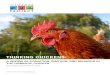 THINKING CHICKENS - Farm Sanctuary › wp-content › uploads › 2017 › 01 › ... · 2017-01-03 · Thinking Chickens: A Review of Cognition, Emotion, and Behavior in the Domestic