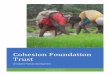 Cohesion Foundation Trust › wp-content › uploads › 2014 › 09 › Ann… · cohesion foundation trust ... 7.2 intensive participatory planning exercise (ippe) for state institute