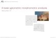 A basic geometric morphometric analysis 2B... · G562 Geometric Morphometrics Visualizing shapes: thin plate spline grids Allows difference between two shapes to be compared as a