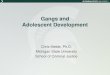 Gangs and Adolescent Development Violence Prevention/2014/2014… · Michigan State University . School of Criminal Justice . Gangs and Adolescent Development “So trained for the