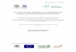 Workshop Report - CBD · The report of the workshop will be submitted to the Secretariat of the CBD for inclusion as an information document at SBSTTA-14, and as a contribution to