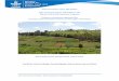 WLE Innovation Fund Final Report - ciatnews.cgiar.org€¦ · Using an ecosystems approach for securing water and land resources in the Upper Tana Basin 1. Introduction Ecosystem