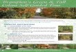 Brampton's Green & Fall Colour Self-Guided Tour › en › Arts-Culture-Tourism › Documents › Tours › G… · Park, pick up the path and walk north through the park. 2. Eldorado