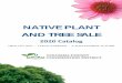 NATIVE PLANT AND TREE SALE€¦ · Plant in well-drained, moist soils and full sun for best development. Height 50’-90’. 20-40’ spread. Norway Spruce (Non-native tree) Picea