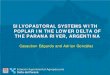 SILVOPASTORAL SYSTEMS WITH POPLAR IN THE LOWER … · SILVOPASTORAL SYSTEMS WITH POPLAR IN THE LOWER DELTA OF THE PARANA RIVER, ARGENTINA Casaubon Edgardo and Adrian González # #