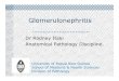 Dr Rodney Itaki Anatomical Pathology Discipline. · Glomerulonephritis Dr Rodney Itaki Anatomical Pathology Discipline. University of Papua New Guinea School of Medicine & Health