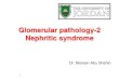 Glomerular pathology-2 Nephritic syndrome › wp-content › uploads › ... · 2020-03-22 · 2 The Nephritic Syndrome •Pathogenesis: inflammation •proliferation of the cells