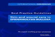 Best Practice Guidelines · 2019-07-11 · BEST PRACTICE GUIDELINES FOR SKIN AND WOUND CARE IN EPIDERMOLYSIS BULLOSA| 5 The majority of the papers were graded level 3, being small-scale