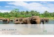 Sri Lanka - Travel Places › wp-content › uploads › 2017 › 10 › Alternati… · Sri Lanka . Sri Lanka – The wonder of Asia Endless beaches, timeless ruins, welcoming people,