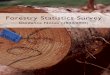 Forestry Statistics Survey ... Forestry statistics survey guidance notes 2004/2005 Introduction The