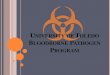 UNIVERSITY OF OLEDO BLOODBORNE PATHOGEN PROGRAM · OSHA Bloodborne Pathogen Standard. ... 6-30% chance of infection from a puncture wound (contaminated needle) Up to 30% of infected