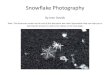 Snowï¬‚ake â€؛ ... â€؛ snowflakes_sm.pdfآ  Snowï¬‚ake Photography By Jean Davids Note: The Resources