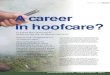 A career in hoofcare? - The Barefoot Blacksmith€¦ · A career in hoofcare? There has been much talk lately of job security and how many of today’s occupations will no longer