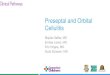 Preseptal and Orbital Cellulitis - Connecticut … › wp-content › uploads › ...2019/10/09  · Preseptal and Orbital Cellulitis Majida Gaffar, MD Emilee Lewis, MD Eric Hoppa,