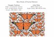New Kinds of Fractal Patterns Douglas Dunham John Shier ...ddunham/dunbr17tlk.pdfA p6 Pattern of Flowers. ... Here and in the past we have shown fractal patterns with p1,p2mm,p4,p4mm,p6,
