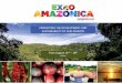 PROMOTING THE DEVELOPMENT AND SUSTAINABILITY OF OUR … · OBJECTIVE: Promote our productive and service potentials of the Amazonian regions to the national and international market