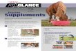 SPONSORED BY Equine Supplements - The HorseApr 24, 2017  · 1 Nutritional or feed supplements, which are ... Equine Supplements This Fact Sheet may be reprinted and distributed in