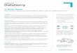 CASE STUDY Databerry - Hostway · Magento is easily the most popular e-commerce platform, as Databerry can attest; an Alexa Internet analysis last year revealed Magento was used on