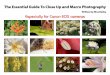 The Essential Guide To Close Up and Macro Photography › images › pdf... · Chapter 2: Approaches to close up and macro photography 12 When the image on the sensor gets to the