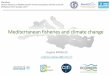 Workshop Human impacts on Mediterranean marine ecosystems ... › sites › default › files › upload › files › Raybaud_W… · Human impacts on Mediterranean marine ecosystems
