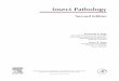Insect Pathology - .:: سامانهی اعضای ...asatid.vru.ac.ir/my_doc/asatidrafsanjan/Jalali/Insect Pathology (Seco… · Insect Pathology Second Edition Fernando E. Vega Sustainable