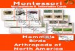 How To Use Montessori Nomenclature...How To Use Montessori Nomenclature 3 -Part Cards Montessori Three-Part Cards are designed for children to learn and process the information on