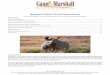 Namibia Safari Fixed Departures - Gane and Marshall€¦ · Namibia’s great natural wonders. Gane and Marshall Tel: +44 (0)1822-600-600 e-mail: info@ganeandmarshall.com website: