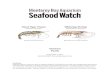Giant Tiger Prawn Whiteleg Shrimp - Seafood Watch · Vietnam is the largest producer of farmed giant tiger prawn. This report assess the three predominant production systems in Vietnam,