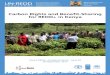 for REDD+ in Kenya - Kenya Forest Service - HOME Rights and... · 2017-11-12 · PES Payment for Environmental Services PFM Participatory Forest Management ... Carbon Rights and Benet-Sharing