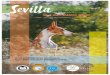 Sociedad Canina de Andalucía Occidental ATENCION ...€¦ · Keith Young (UK): Flat Coated Retriever, Labrador Retriever, Golden Retriever, Cocker Spaniel Inglés, Clumber Spaniel,