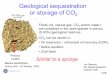 Geological sequestration or storage of CO2 10-100 m...1/25 Geological sequestration or storage of CO 2 10-100 mm Porous matrix Fluids (oil, natural gas, CO 2 and/or water) are contained