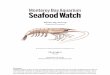 MBA Seafood Watch Shrimp (Nicaragua) copyedit JV€¦ · wild fish are required to produce one ton of farmed shrimp. The source fisheries for fishmeal were not known, and the adjusted