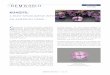 Gem Focus June 2020 - Kunzite › wp-content › uploads › pdf › 2020Gem...GEM FOCUS June 2020 GEMGUIDE u GEM FOCUS-1 - JUNE 2020S podumene is almost exclusively a pegmatitic mineral