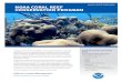 NOAA Coral Reef Conservation Program · 2017-08-14 · NOAA CORAL REEF CONSERVATION PROGRAM Healthy coral reefs are among the most biologically diverse, culturally significant, and