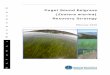 E Zostera marina - WA€¦ · The Puget Sound Partnership established eelgrass as an indicator – or “vital sign” – of the health of Puget Sound in recognition of the regional