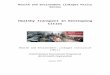 Outline of Proposed Policy Brief on Transport, … · Web viewTitle Outline of Proposed Policy Brief on Transport, Environment and Health in Megacities of the Developing World 10
