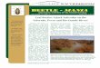 BIOLOGICAL CONTROL OF SALTCEDAR IN TEXAS ...pecosbasin.tamu.edu/media/129077/beetlemanianewsletter...VOLUME 2, NO.1 PAGE 3 herbicide control program which targeted saltcedar on the