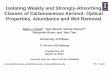 Isolating Weakly and Strongly -Absorbing Classes of ... › ... › stm › 2012 › presentations › roodc… · Classes of Carbonaceous Aerosol: Optical Properties, Abundance and
