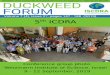 Newsletter of the Community of Duckweed Research and ... › uploads › 1 › 0 › 8 › 9 › 10896289 › ... · 9/12/2019  · The 4th International Steering Committee on Duckweed