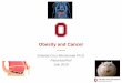 Obesity and Cancer - UPMC › sites › default › files › Session 3-A 1 Cruz... · Projected Increase in Pancreatic Cancer Deaths by 2030 Thought to Correlate with Obesity Trends