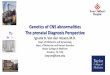 Genetics of CNS abnormalities The prenatal Diagnosis Perspective · 2018-11-19 · Genetics of CNS abnormalities The prenatal Diagnosis Perspective Ignatia B. Van den Veyver, M.D