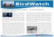 COASTAL WATERBIRD SURVEY: 10-YEAR TRENDS RESULTS … · Average yearly counts for Western Grebe from 1999-2009 in the Georgia Basin region Coastal Waterbird Survey 10-Year Trends