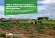 The Mozambique Climate Resilience Program › uploaded › 2018 › ...The Mozambique Climate Resilience Program | 11 Annual Report 2018 Increase soil moisture and soil health. Soil