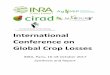International Conference on Global Crop Losses€¦ · Crop loss assessment and modelling addresses legitimate and important issues Plant diseases and pests affect global crop production