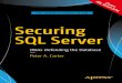 Securing SQL Server - futas.net€¦ · Securing SQL Server ... eBook versions and licenses are also available for most titles. For more information, ... their Worst password list
